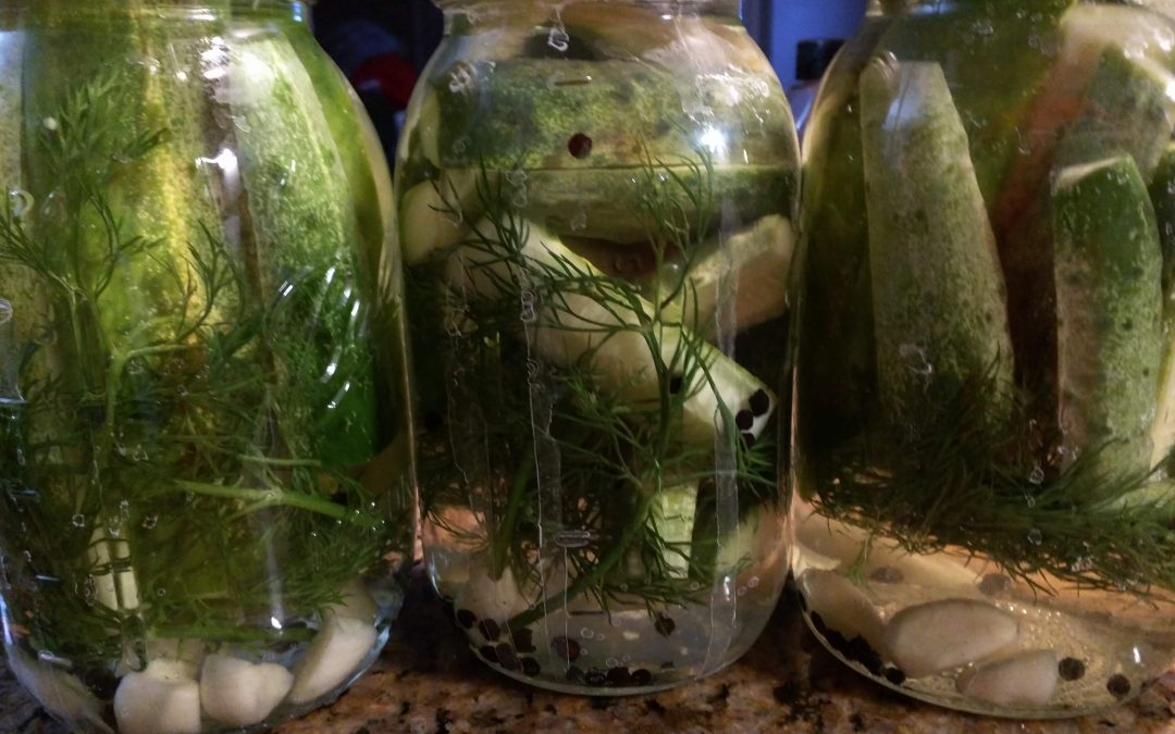 Homemade dill pickels